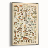 Mushroom Art Print – Vintage Champignons Illustration