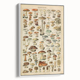 Mushroom Art Print – Vintage Champignons Illustration