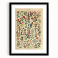 Flower Art Print – Vintage Botanical Flower Illustration