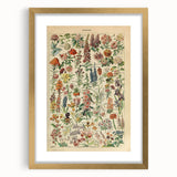 Flower Art Print – Vintage Botanical Flower Illustration