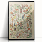 Flower Art Print – Vintage Botanical Flower Illustration