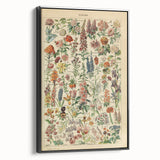 Flower Art Print – Vintage Botanical Flower Illustration