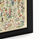 Flower Art Print – Vintage Botanical Flower Illustration