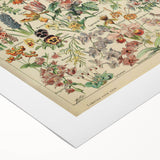 Flower Art Print – Vintage Botanical Flower Illustration