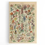 Flower Art Print – Vintage Botanical Flower Illustration