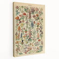 Flower Art Print – Vintage Botanical Flower Illustration