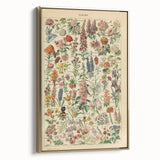 Flower Art Print – Vintage Botanical Flower Illustration