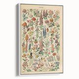 Flower Art Print – Vintage Botanical Flower Illustration