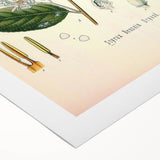 Vintage Botanical Illustration of Styrax – Botanical Art Prints
