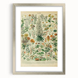Flower Art Print – Vintage Botanical Flower Illustration
