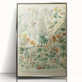 Flower Art Print – Vintage Botanical Flower Illustration