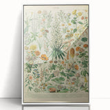 Flower Art Print – Vintage Botanical Flower Illustration