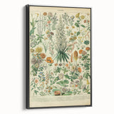 Flower Art Print – Vintage Botanical Flower Illustration