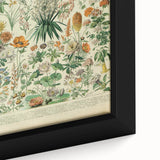 Flower Art Print – Vintage Botanical Flower Illustration