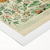 Flower Art Print – Vintage Botanical Flower Illustration