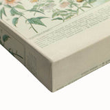 Flower Art Print – Vintage Botanical Flower Illustration