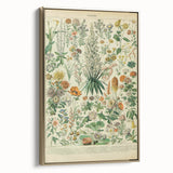 Flower Art Print – Vintage Botanical Flower Illustration