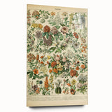 Flower Art Print – Vintage Botanical Flower Illustration