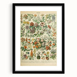 Flower Art Print – Vintage Botanical Flower Illustration