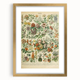 Flower Art Print – Vintage Botanical Flower Illustration