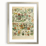 Flower Art Print – Vintage Botanical Flower Illustration
