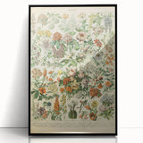 Flower Art Print – Vintage Botanical Flower Illustration