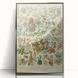Flower Art Print – Vintage Botanical Flower Illustration
