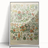 Flower Art Print – Vintage Botanical Flower Illustration