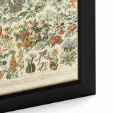 Flower Art Print – Vintage Botanical Flower Illustration