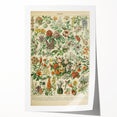 Flower Art Print – Vintage Botanical Flower Illustration