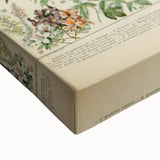 Flower Art Print – Vintage Botanical Flower Illustration