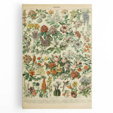 Flower Art Print – Vintage Botanical Flower Illustration