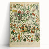 Flower Art Print – Vintage Botanical Flower Illustration