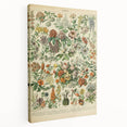 Flower Art Print – Vintage Botanical Flower Illustration