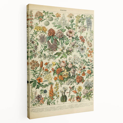 Flower Art Print – Vintage Botanical Flower Illustration