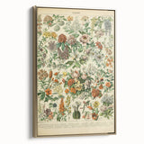 Flower Art Print – Vintage Botanical Flower Illustration