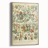 Flower Art Print – Vintage Botanical Flower Illustration