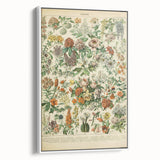 Flower Art Print – Vintage Botanical Flower Illustration