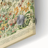 Vintage Botanical Art Prints: Nature-Inspired Floral Wall Art