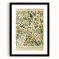 Vintage Botanical Art Prints: Nature-Inspired Floral Wall Art