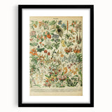 Vintage Botanical Art Prints: Nature-Inspired Floral Wall Art