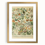 Vintage Botanical Art Prints: Nature-Inspired Floral Wall Art
