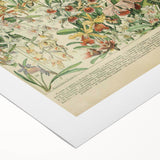 Vintage Botanical Art Prints: Nature-Inspired Floral Wall Art