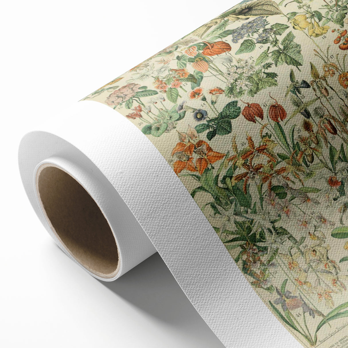 Vintage Botanical Art Prints: Nature-Inspired Floral Wall Art