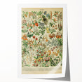 Vintage Botanical Art Prints: Nature-Inspired Floral Wall Art