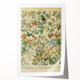 Vintage Botanical Art Prints: Nature-Inspired Floral Wall Art
