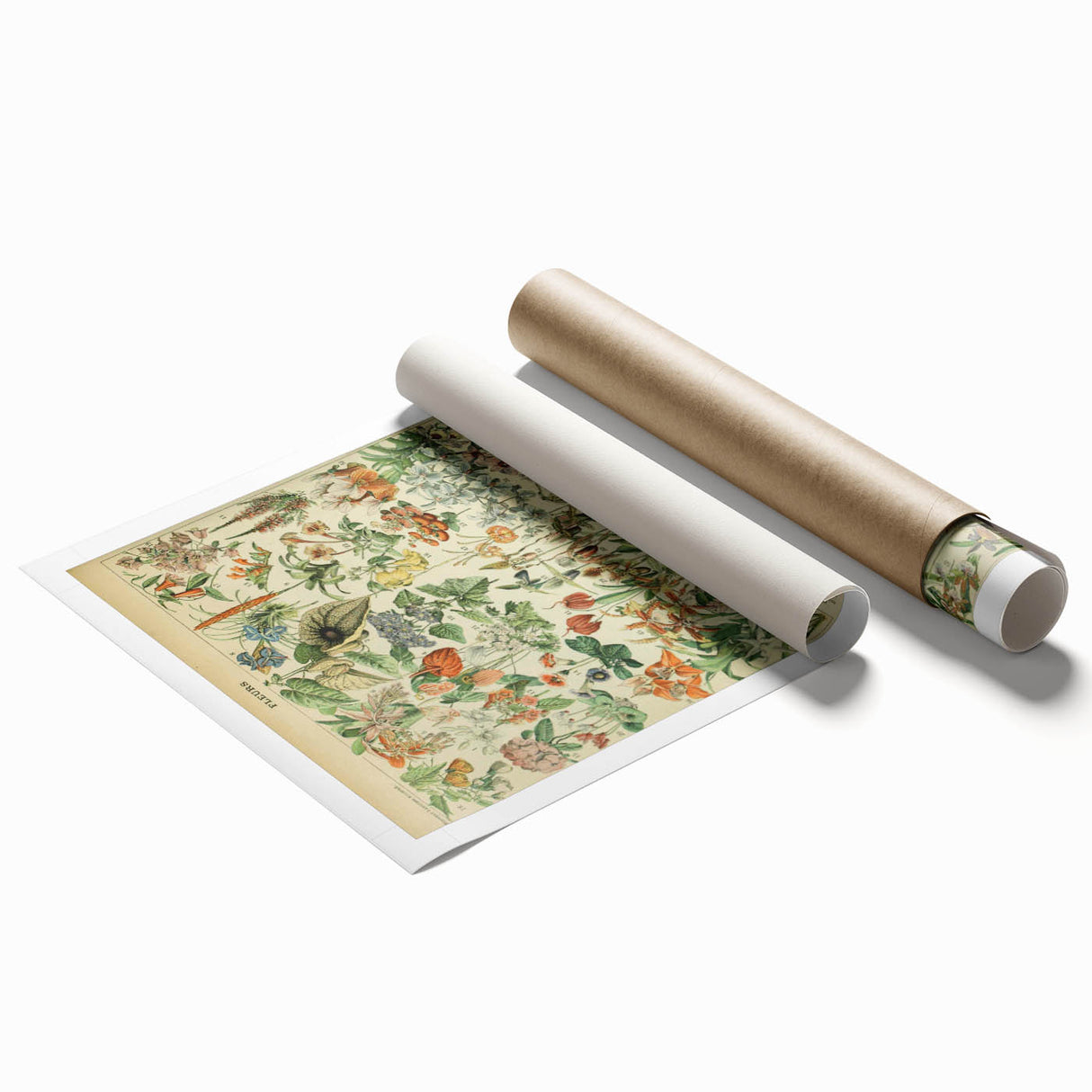 Vintage Botanical Art Prints: Nature-Inspired Floral Wall Art