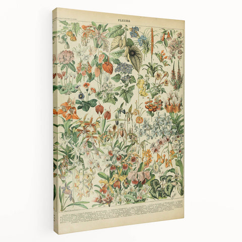 Vintage Botanical Art Prints: Nature-Inspired Floral Wall Art