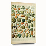 Vintage Botanical Art Prints: Fresh Fruit Illustration Wall Art