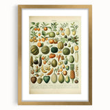 Vintage Botanical Art Prints: Fresh Fruit Illustration Wall Art